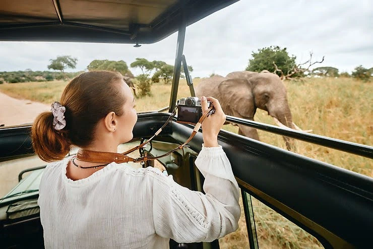 Les safaris en Tanzanie Zanzibar