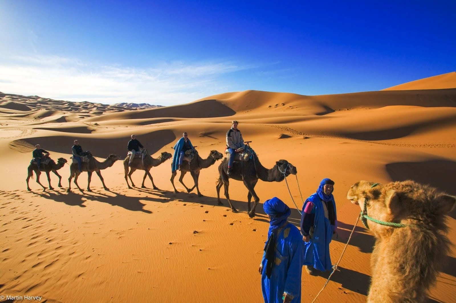 Balade à dos de dromadaire dans les dunes