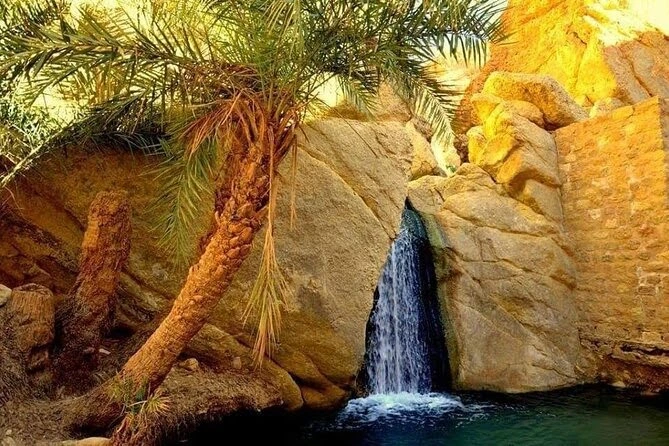 Cascade dans une oasis de montagne