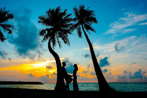 voyage de noces