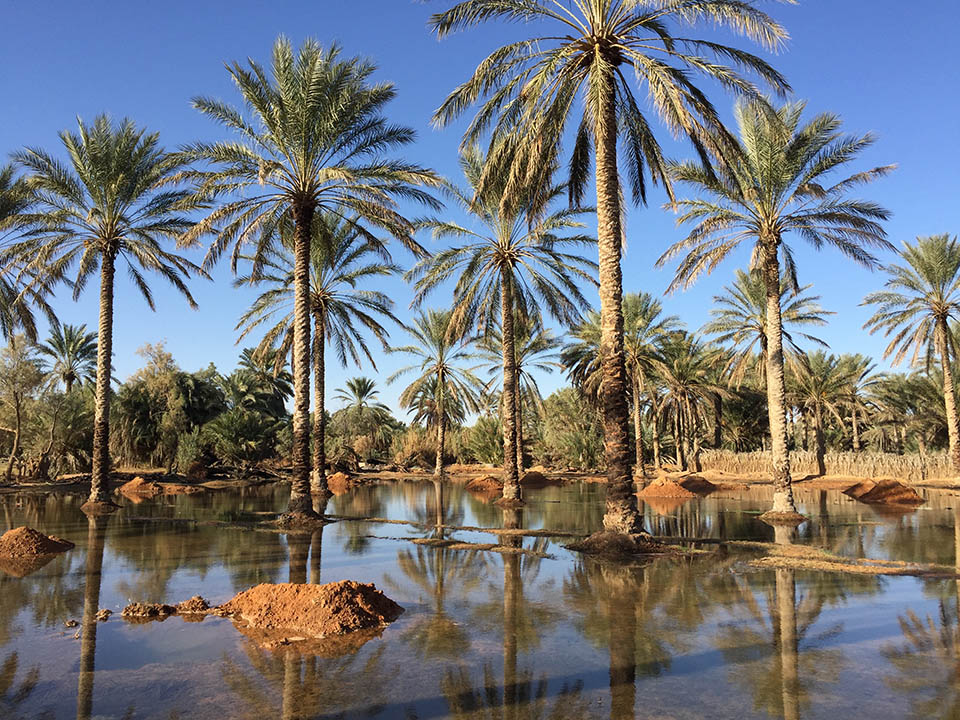 Circuit Sud Douz Tozeur