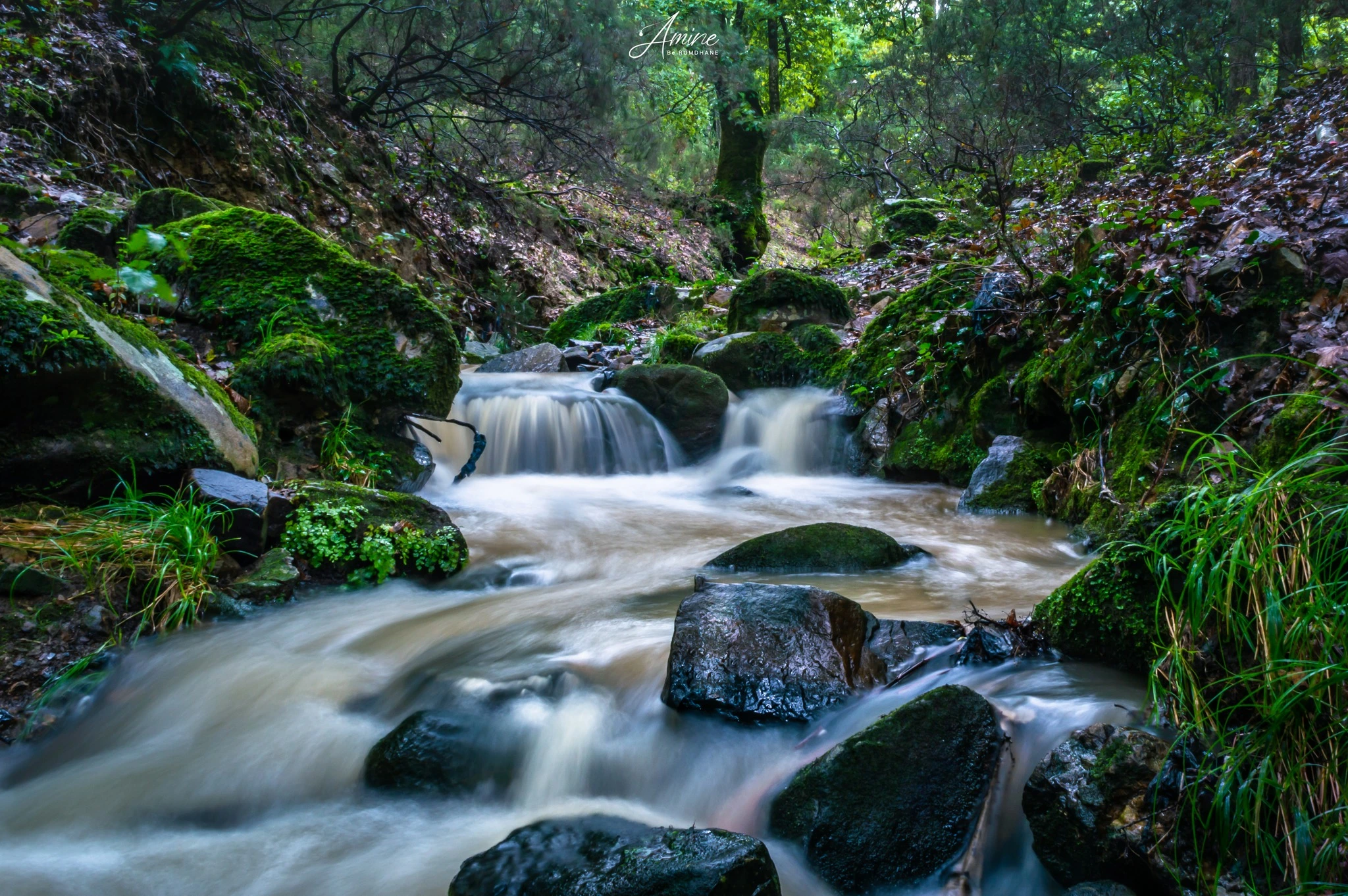 Ain Drahem & Hammam Bourguiba