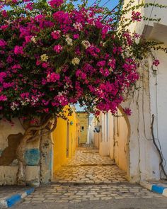 Djerba Par vol 2026 7N/8j