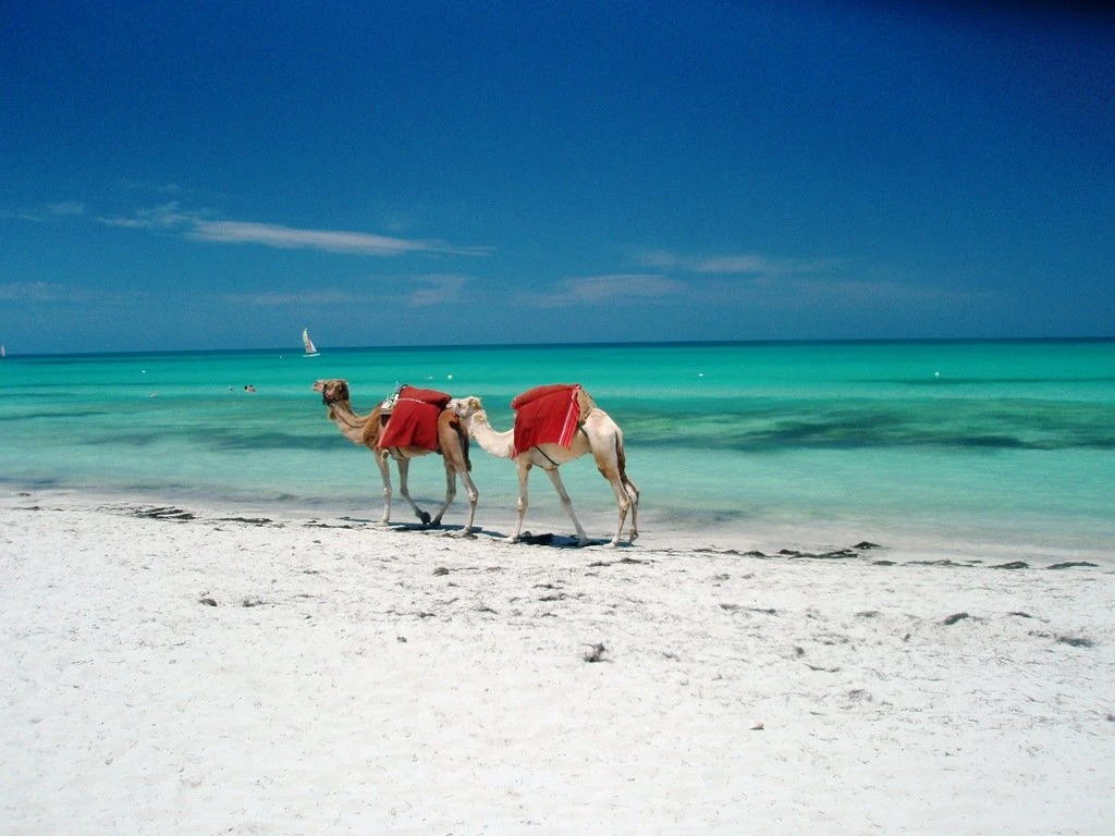 Mer&Desert