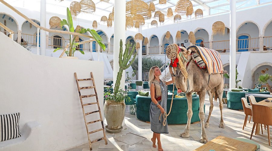 Circuit Djerba -- L’île aux Trésors