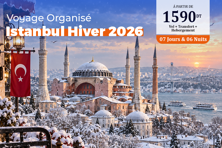 Istanbul Hiver 2026