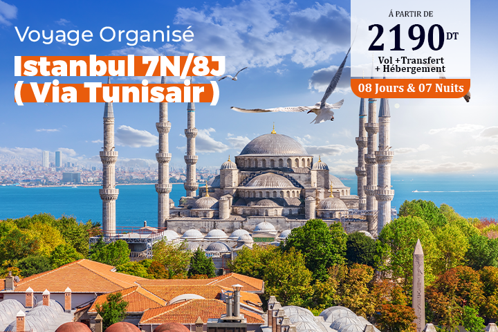 istanbul  7N/8J ( Via Tunisair )