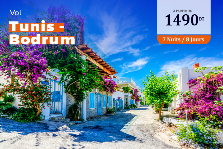 Vol TUNIS - BODRUM