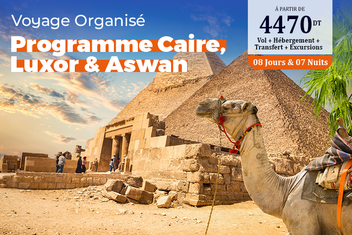 PROGRAMME CAIRE - LUXOR - ASWAN